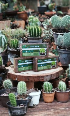 IMG_20231021_17560128