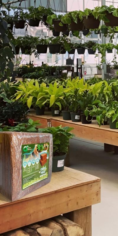 IMG_20231021_1756018